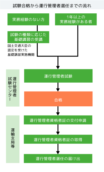 試験合格から運行管理者選任までの流れ